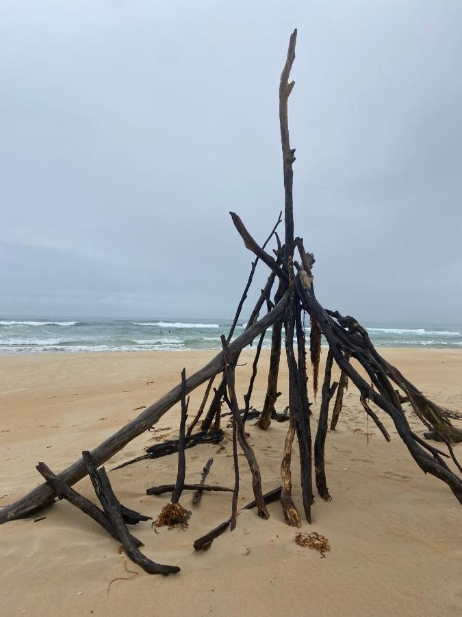 Pelican Sands Scamander Luaran gambar